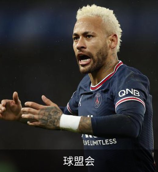 球盟会简介