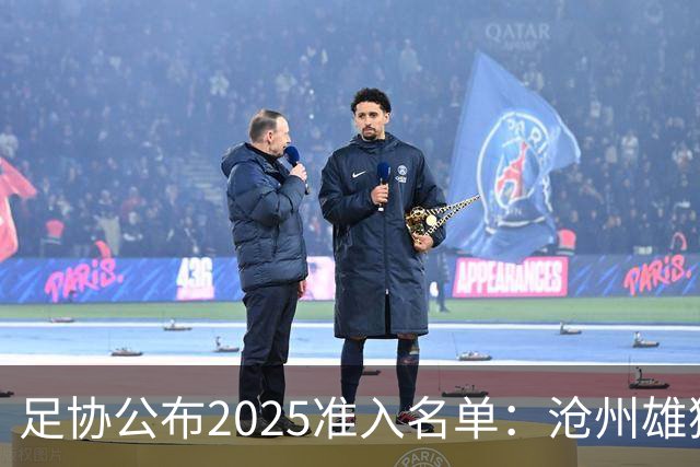 足协公布2025准入名单：沧州雄狮、广州队无缘